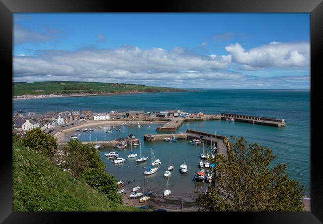 Stonehaven Harbour  Framed Print by Wendy Williams CPAGB