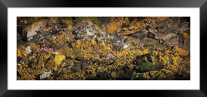 SEA CLIFF AND LICHEN Framed Mounted Print by Anthony R Dudley (LRPS)