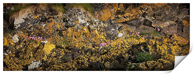 SEA CLIFF AND LICHEN Print by Anthony R Dudley (LRPS)