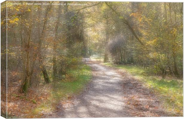 Autumnal woodland path. Canvas Print by Peter Jones