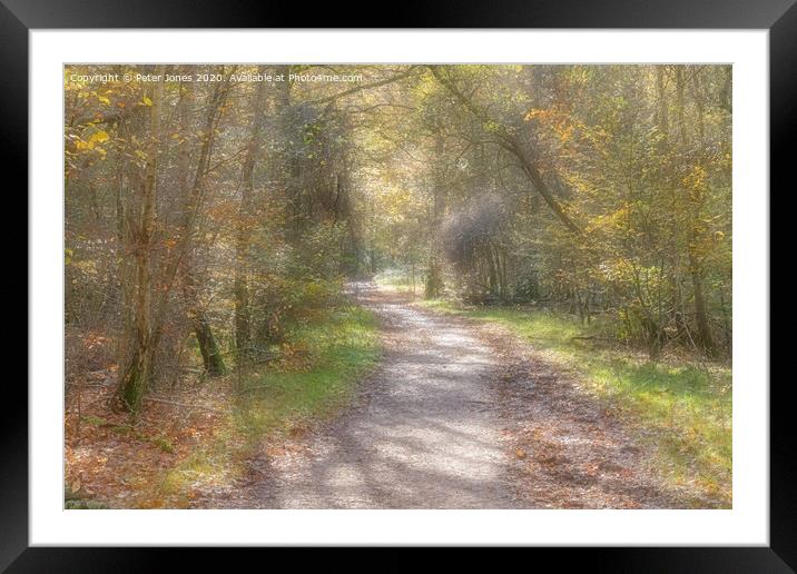 Autumnal woodland path. Framed Mounted Print by Peter Jones