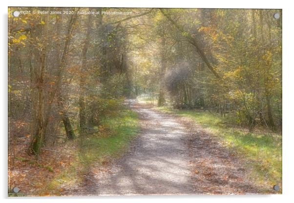 Autumnal woodland path. Acrylic by Peter Jones
