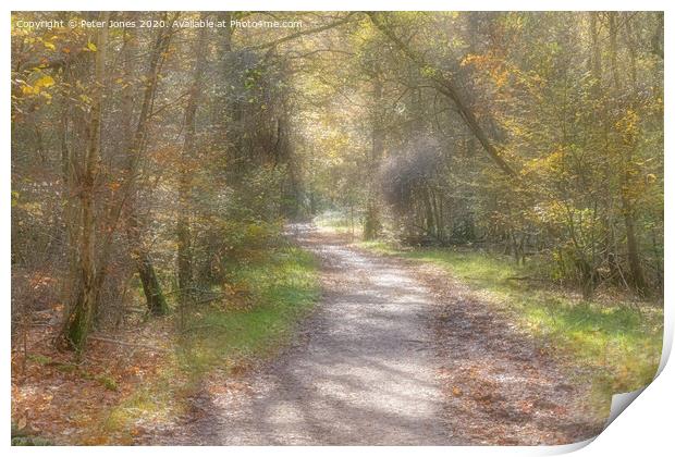 Autumnal woodland path. Print by Peter Jones