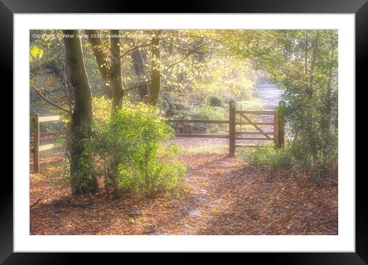 Autumn footpath Framed Mounted Print by Peter Jones