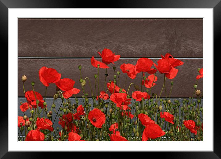 Red Poppies By The Roadside Framed Mounted Print by Simon Gladwin