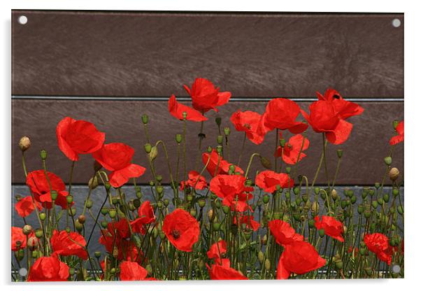 Red Poppies By The Roadside Acrylic by Simon Gladwin