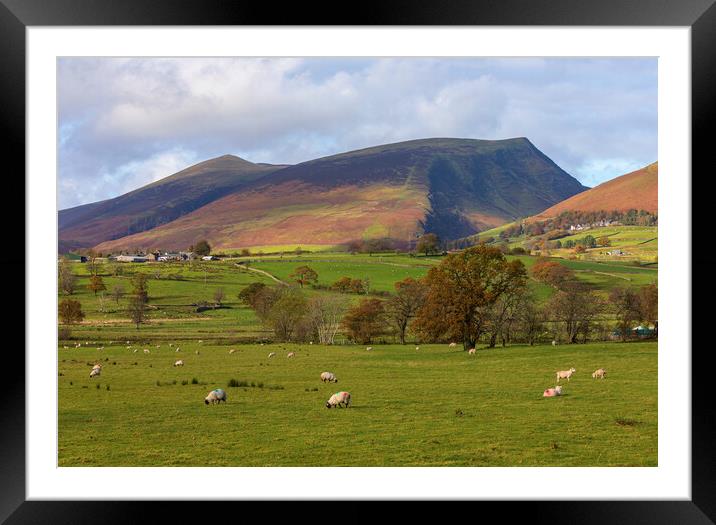 Lake District View Framed Mounted Print by CHRIS BARNARD