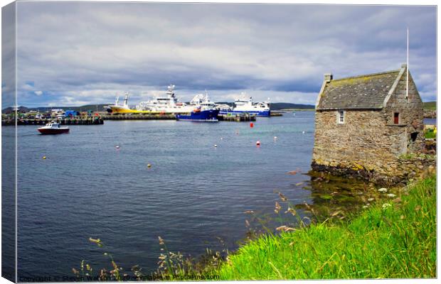 Symbister Harbour  Canvas Print by Steven Watson