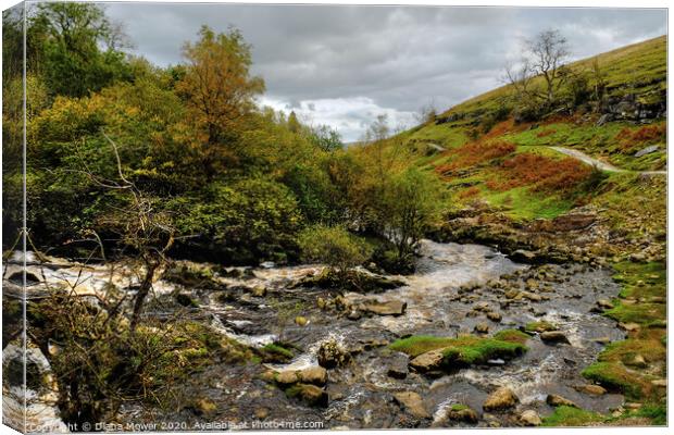 River Twiss near Thornton Force Yorkshire Dales Canvas Print by Diana Mower