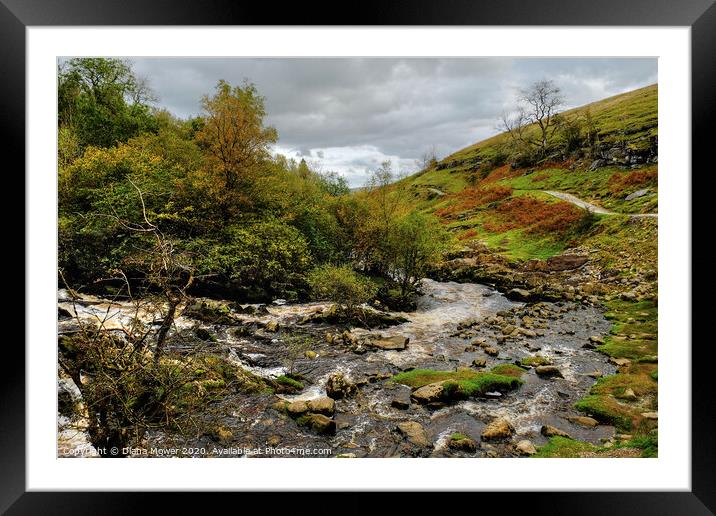 River Twiss near Thornton Force Yorkshire Dales Framed Mounted Print by Diana Mower