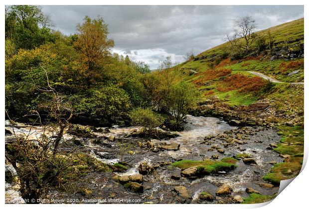River Twiss near Thornton Force Yorkshire Dales Print by Diana Mower