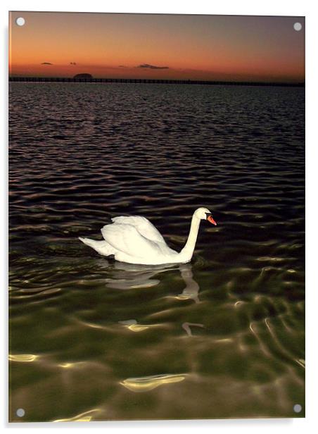 Swan Lake Acrylic by JOHN FORD