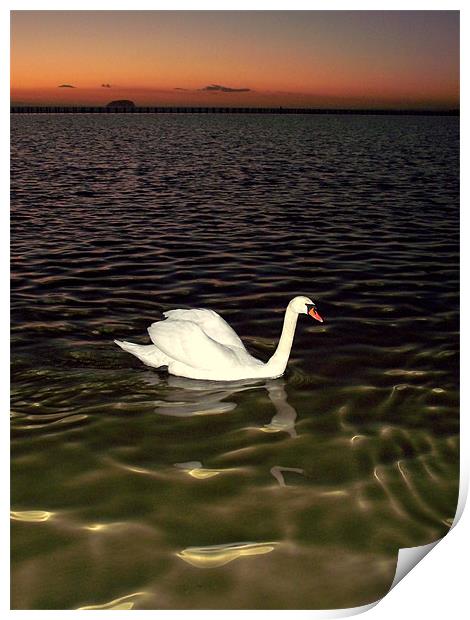 Swan Lake Print by JOHN FORD