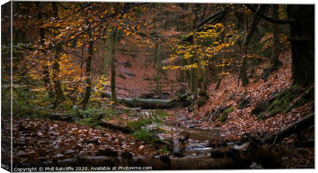 Forest valley Canvas Print by Phill Ratcliffe