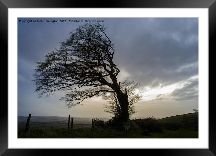 Storm damaged tree on Raddon Framed Mounted Print by Pete Hemington