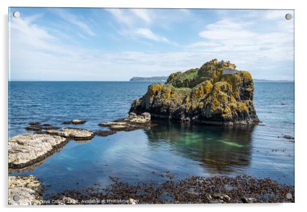Antrim Coast, Carrick-a-Rede, Ballintoy, Co Antrim, Northern Ireland Acrylic by Dave Collins