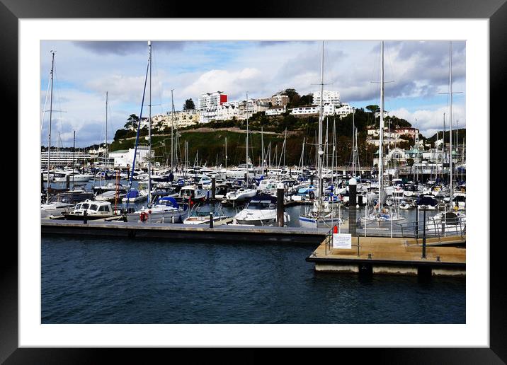 Sea of Masts in Torquay Framed Mounted Print by Jeremy Hayden
