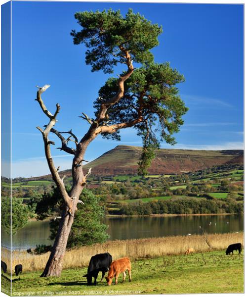 Llangorse Lake and Mynydd Troed peaceful morning. Canvas Print by Philip Veale