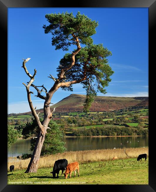 Llangorse Lake and Mynydd Troed peaceful morning. Framed Print by Philip Veale