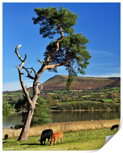 Llangorse Lake and Mynydd Troed peaceful morning. Print by Philip Veale