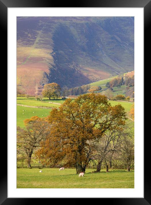 Lake District Rural Scene Framed Mounted Print by CHRIS BARNARD