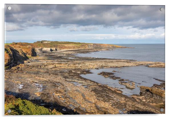 Northumberland Coast Acrylic by David Hare