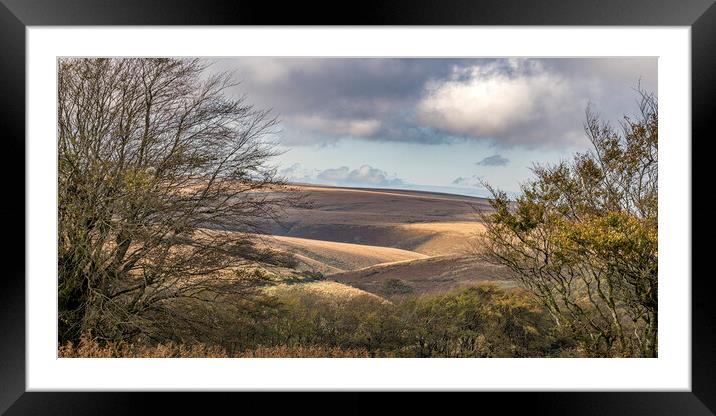 The High Moor of Exmoor Framed Mounted Print by Shaun Davey