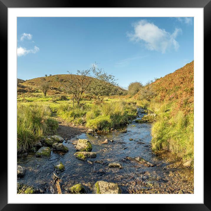 Chetsford Water, Exmoor Framed Mounted Print by Shaun Davey