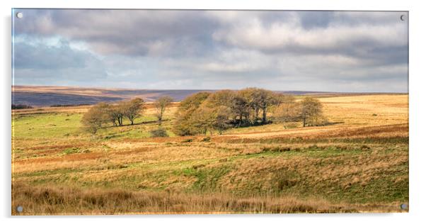 Larkbarrow, Exmoor Acrylic by Shaun Davey