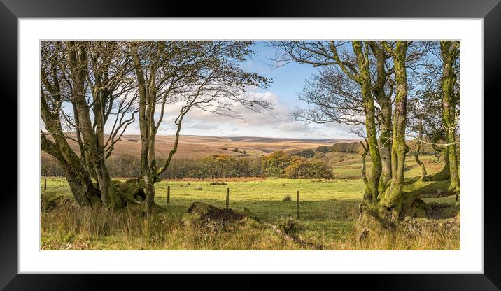 The High Moor of Exmoor Framed Mounted Print by Shaun Davey