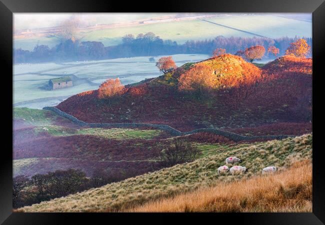 Edale, Barn, Sheep, Train.  Framed Print by John Finney