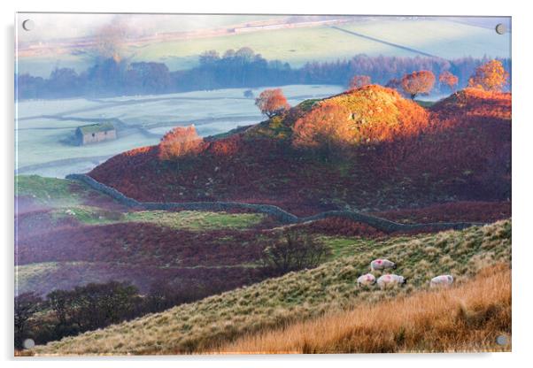 Edale, Barn, Sheep, Train.  Acrylic by John Finney