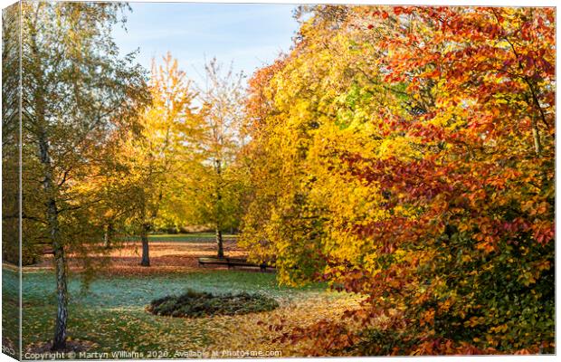 Autumn Trees, Nottingham Canvas Print by Martyn Williams