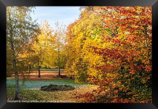 Autumn Trees, Nottingham Framed Print by Martyn Williams