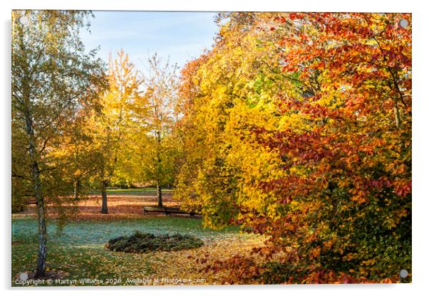Autumn Trees, Nottingham Acrylic by Martyn Williams