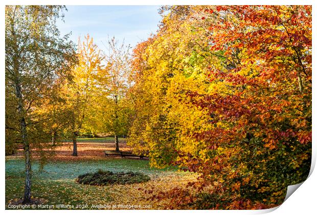 Autumn Trees, Nottingham Print by Martyn Williams