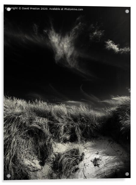 Dunes and sky Acrylic by David Preston