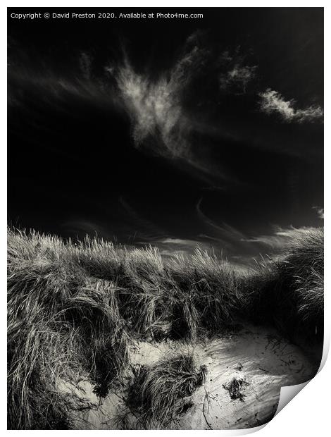 Dunes and sky Print by David Preston
