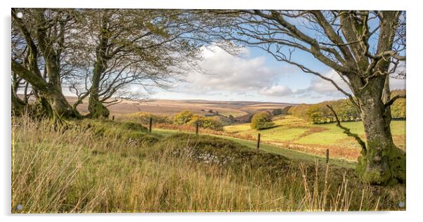 The High Moor of Exmoor Acrylic by Shaun Davey