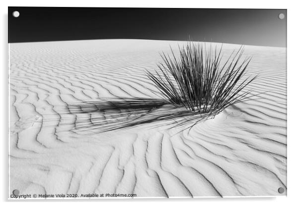 WHITE SANDS Idyllic scenery | Monochrome  Acrylic by Melanie Viola