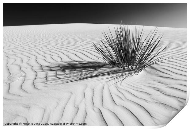 WHITE SANDS Idyllic scenery | Monochrome  Print by Melanie Viola