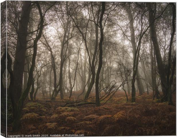 misty autumn woodland Canvas Print by mark Smith