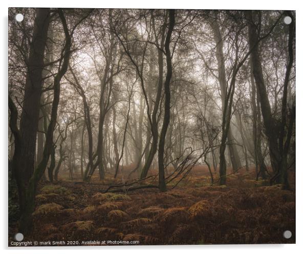 misty autumn woodland Acrylic by mark Smith