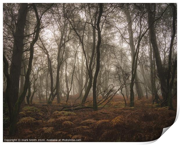 misty autumn woodland Print by mark Smith
