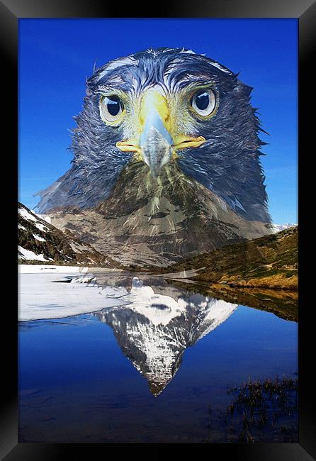 Eagle mountain Framed Print by Doug McRae