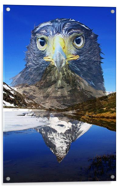 Eagle mountain Acrylic by Doug McRae
