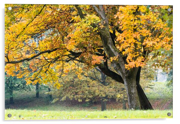 Autumn vibes, Preston Acrylic by Caroline James