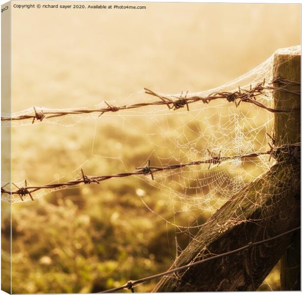 Web Protection Canvas Print by richard sayer
