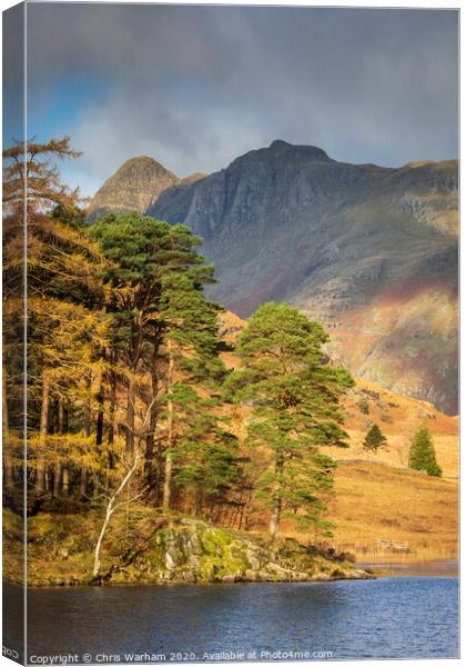 Blea Tarn and the Langdale Pikes - Lake District Canvas Print by Chris Warham