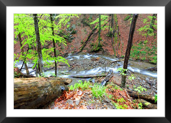 The flow of the mountain river among the rain forest after the rain Framed Mounted Print by Sergii Petruk